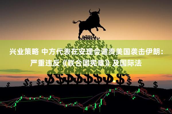 兴业策略 中方代表在安理会谴责美国袭击伊朗：严重违反《联合国宪章》及国际法