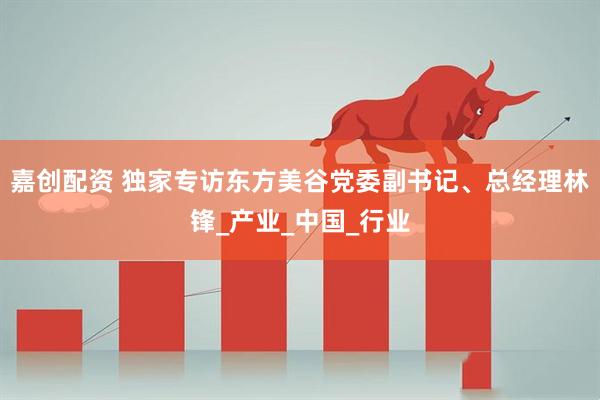 嘉创配资 独家专访东方美谷党委副书记、总经理林锋_产业_中国_行业