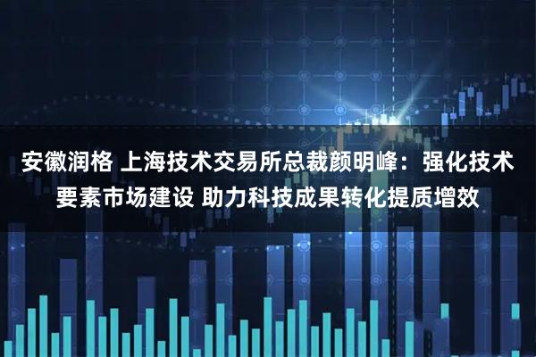 安徽润格 上海技术交易所总裁颜明峰：强化技术要素市场建设 助力科技成果转化提质增效