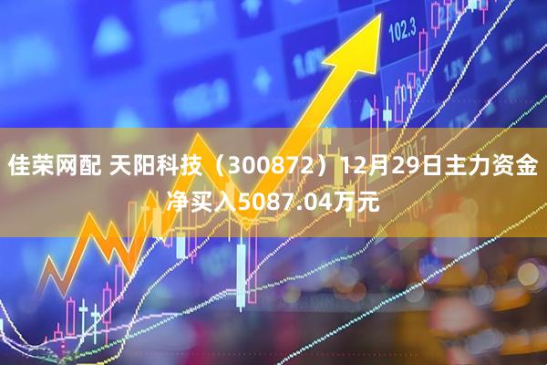 佳荣网配 天阳科技（300872）12月29日主力资金净买入5087.04万元