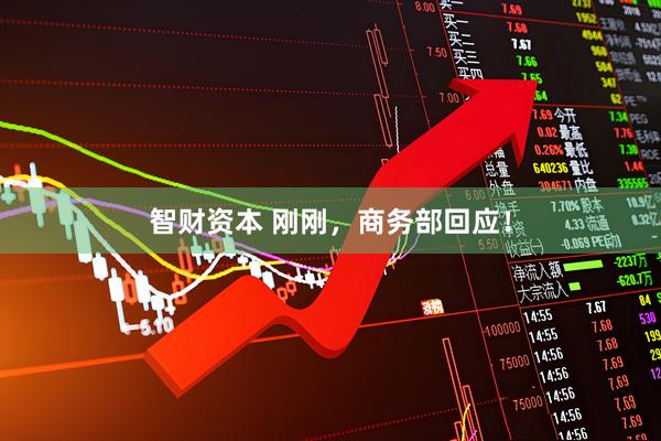 智财资本 刚刚，商务部回应！